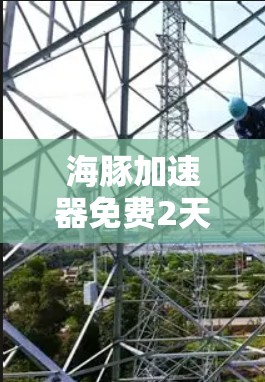 海豚加速器免费2天,技术突破与用户青睐的完美结合 海豚加速器免费2天,技术突破与用户青睐的完美结合