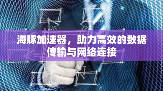 海豚加速器,助力高效的数据传输与网络连接 海豚加速器,助力高效的数据传输与网络连接