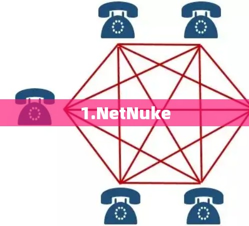 1.NetNuke