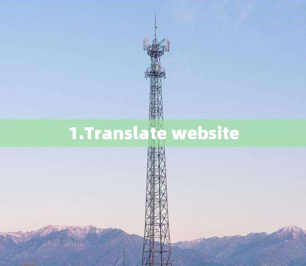 1.Translate website
