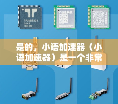 是的，小语加速器（小语加速器）是一个非常受欢迎的在线语言翻译工具，支持多种语言的快速翻译。如果你正在寻找一个免费且高效的翻译工具，以下是一些推荐