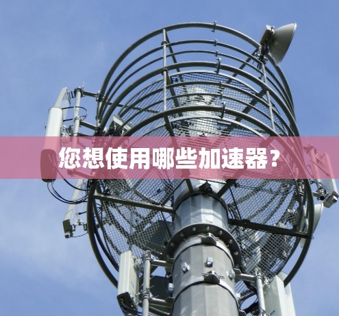 您想使用哪些加速器？