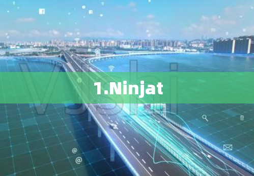 1.Ninjat