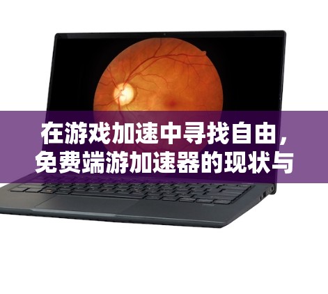 在游戏加速中寻找自由，免费端游加速器的现状与未来