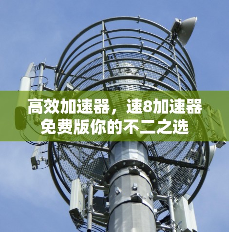高效加速器，速8加速器免费版你的不二之选
