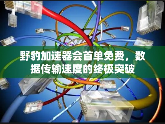 野豹加速器会首单免费，数据传输速度的终极突破