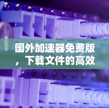 国外加速器免费版，下载文件的高效选择