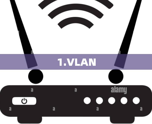 1.VLAN