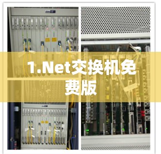 1.Net交换机免费版