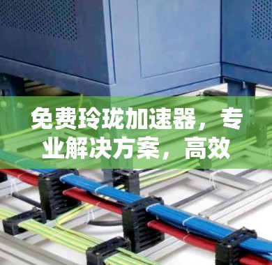 免费玲珑加速器，专业解决方案，高效传输的贴心选择