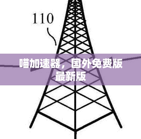 喵加速器，国外免费版最新版