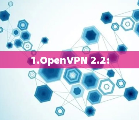 1.OpenVPN 2.2: