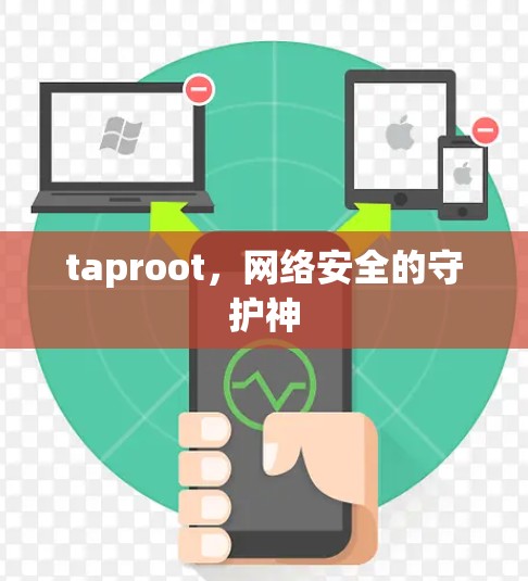 taproot，网络安全的守护神
