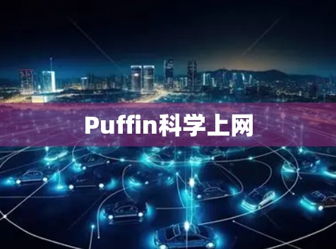 Puffin科学上网