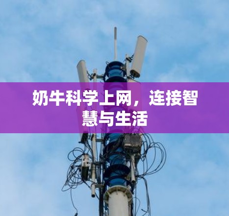 奶牛科学上网,连接智慧与生活 奶牛科学上网,连接智慧与生活