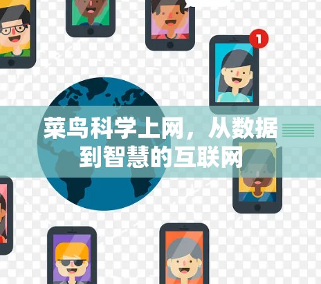 菜鸟科学上网,从数据到智慧的互联网 菜鸟科学上网,从数据到智慧的互联网