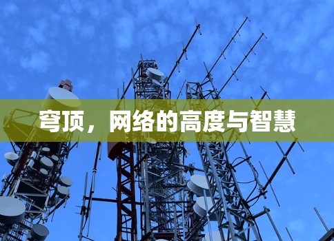 穹顶,网络的高度与智慧 穹顶,网络的高度与智慧