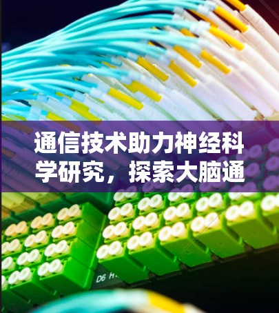 通信技术助力神经科学研究,探索大脑通信新维度 通信技术助力神经科学研究,探索大脑通信新维度
