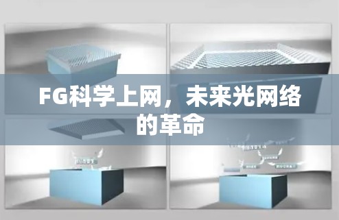 FG科学上网，未来光网络的革命