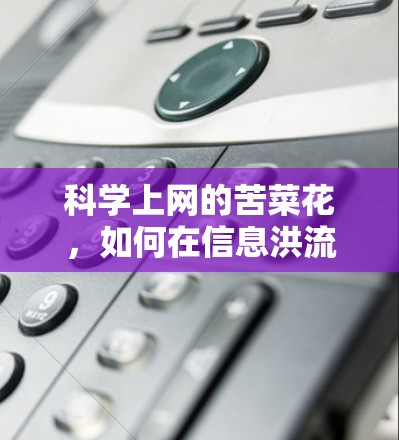 科学上网的苦菜花，如何在信息洪流中保持清醒