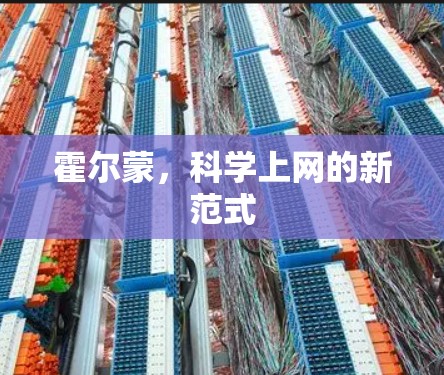 霍尔蒙，科学上网的新范式