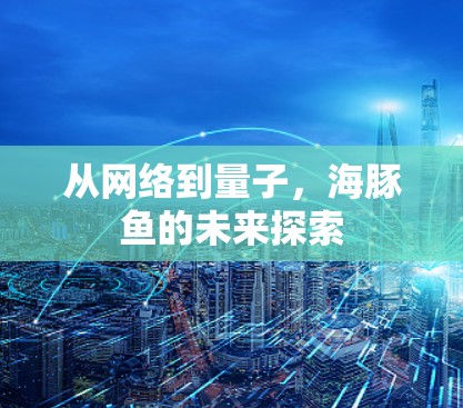 从网络到量子，海豚鱼的未来探索