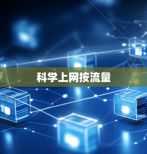 科学上网按流量