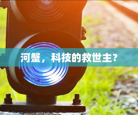 河蟹，科技的救世主？