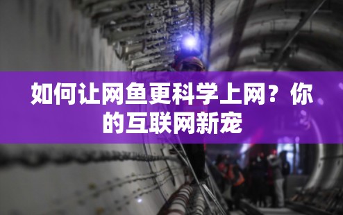 如何让网鱼更科学上网?你的互联网新宠 如何让网鱼更科学上网?你的互联网新宠