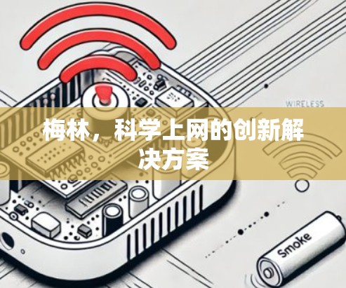 梅林,科学上网的创新解决方案 梅林,科学上网的创新解决方案