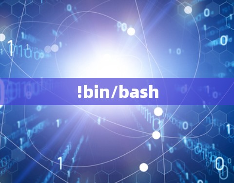!bin/bash