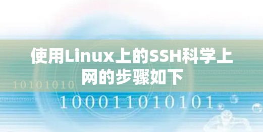 使用Linux上的SSH科学上网的步骤如下