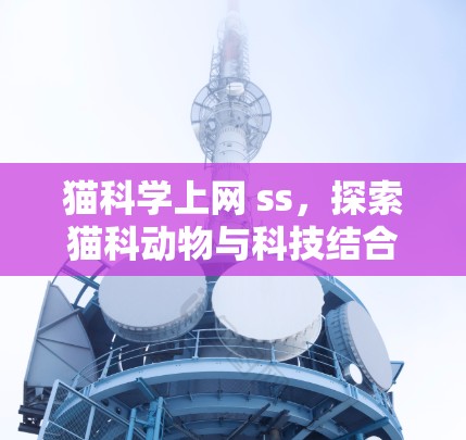 猫科学上网 ss,探索猫科动物与科技结合的神秘世界 猫科学上网 ss,探索猫科动物与科技结合的神秘世界