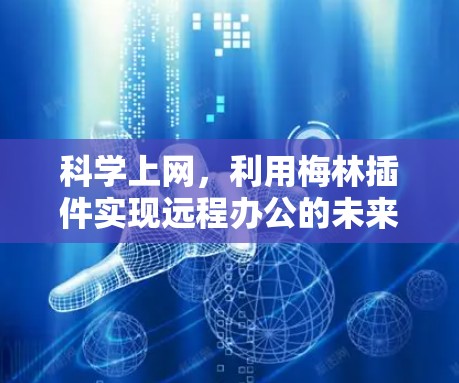 科学上网，利用梅林插件实现远程办公的未来