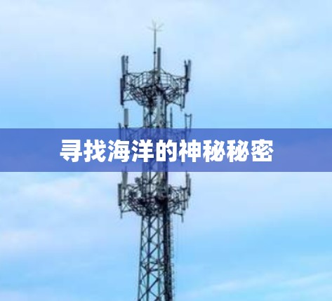 寻找海洋的神秘秘密 寻找海洋的神秘秘密