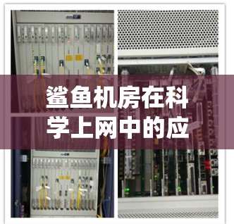 鲨鱼机房在科学上网中的应用涉及深海环境下的水下通信系统。以下是对该问题的详细分析