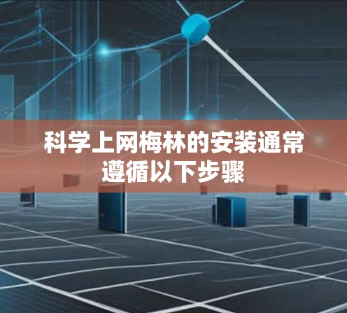科学上网梅林的安装通常遵循以下步骤 科学上网梅林的安装通常遵循以下步骤