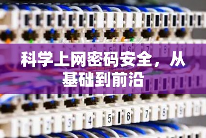 科学上网密码安全，从基础到前沿