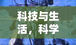 科技与生活,科学上网与谷歌云的未来 科技与生活,科学上网与谷歌云的未来