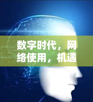 数字时代,网络使用,机遇与挑战 数字时代,网络使用,机遇与挑战