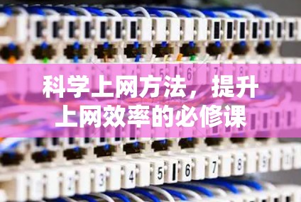 科学上网方法,提升上网效率的必修课 科学上网方法,提升上网效率的必修课