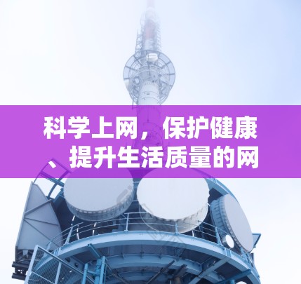 科学上网,保护健康、提升生活质量的网络智慧 科学上网,保护健康、提升生活质量的网络智慧
