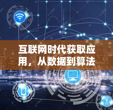 互联网时代获取应用，从数据到算法的智慧之道