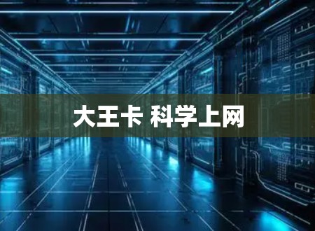 大王卡 科学上网