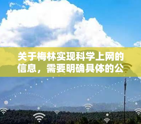 关于梅林实现科学上网的信息，需要明确具体的公司或产品名称。梅林可能指的是以下几种公司，每个公司有不同的网络服务和功能