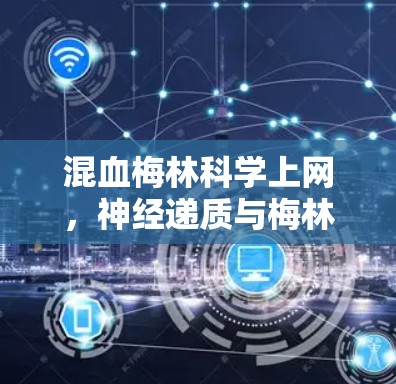 混血梅林科学上网,神经递质与梅林酸的新型治疗机制探索 混血梅林科学上网,神经递质与梅林酸的新型治疗机制探索