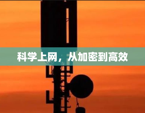 科学上网,从加密到高效 科学上网,从加密到高效