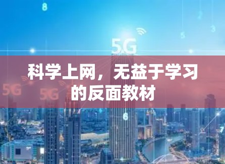 科学上网,无益于学习的反面教材 科学上网,无益于学习的反面教材