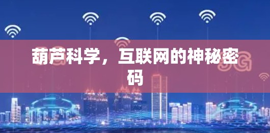 葫芦科学,互联网的神秘密码 葫芦科学,互联网的神秘密码