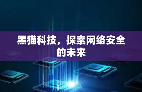黑猫科技,探索网络安全的未来 黑猫科技,探索网络安全的未来